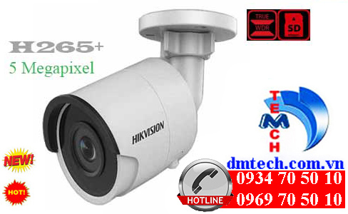 Camera IP HIKVISION DS-2CD2055FWD-I